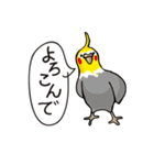 オカメのポタちゃんと仲間たち（個別スタンプ：26）