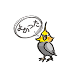 オカメのポタちゃんと仲間たち（個別スタンプ：29）