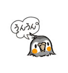 オカメのポタちゃんと仲間たち（個別スタンプ：35）