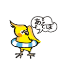 オカメのポタちゃんと仲間たち（個別スタンプ：40）