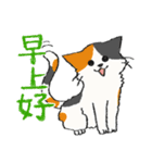 使いやすい中国語の猫たち（個別スタンプ：3）