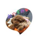 ときどきだいきち1（個別スタンプ：8）