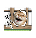 ペットchan❤️（個別スタンプ：4）