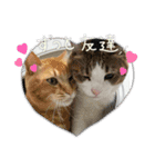 ペットchan❤️（個別スタンプ：6）