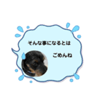 ペットchan❤️（個別スタンプ：10）