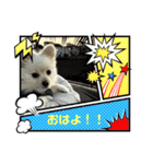 リオンの日常スタンプ！2（個別スタンプ：1）