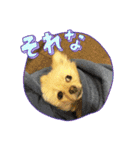 リオンの日常スタンプ！2（個別スタンプ：2）