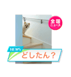 リオンの日常スタンプ！2（個別スタンプ：6）