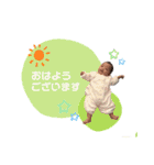 @miorin6（個別スタンプ：8）