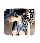 もえスタンプ！第2弾❤︎（個別スタンプ：3）