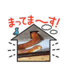 さんご＆ばなな＆ばたー❤︎すたんぷ！（個別スタンプ：6）