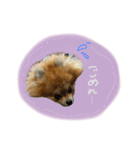 おたぬのスタンプ♡（個別スタンプ：2）