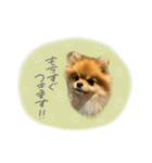 おたぬのスタンプ♡（個別スタンプ：5）
