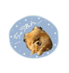おたぬのスタンプ♡（個別スタンプ：6）