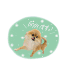 おたぬのスタンプ♡（個別スタンプ：11）