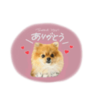 おたぬのスタンプ♡（個別スタンプ：12）