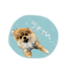 おたぬのスタンプ♡（個別スタンプ：16）