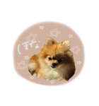 おたぬのスタンプ♡（個別スタンプ：17）