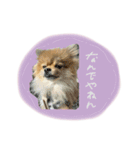 おたぬのスタンプ♡（個別スタンプ：18）