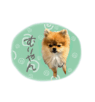 おたぬのスタンプ♡（個別スタンプ：19）