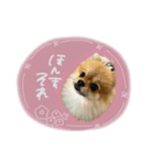 おたぬのスタンプ♡（個別スタンプ：20）