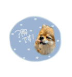 おたぬのスタンプ♡（個別スタンプ：21）