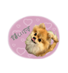 おたぬのスタンプ♡（個別スタンプ：22）