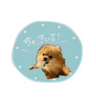 おたぬのスタンプ♡（個別スタンプ：23）