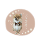 おたぬのスタンプ♡（個別スタンプ：24）