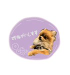 おたぬのスタンプ♡（個別スタンプ：26）
