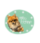 おたぬのスタンプ♡（個別スタンプ：27）