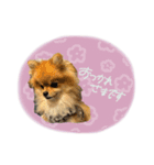 おたぬのスタンプ♡（個別スタンプ：29）