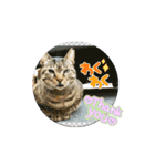 動物スタンプ（アニメーション）2（個別スタンプ：2）