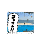 動物スタンプ（アニメーション）2（個別スタンプ：7）