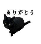 きゃわわくうちゃん（個別スタンプ：1）