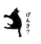 きゃわわくうちゃん（個別スタンプ：3）