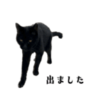 きゃわわくうちゃん（個別スタンプ：5）