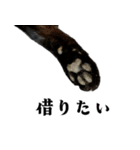 きゃわわくうちゃん（個別スタンプ：7）
