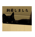 きゃわわくうちゃん（個別スタンプ：10）