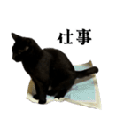 きゃわわくうちゃん（個別スタンプ：12）