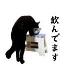 きゃわわくうちゃん（個別スタンプ：20）