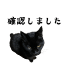 きゃわわくうちゃん（個別スタンプ：21）