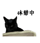 きゃわわくうちゃん（個別スタンプ：22）