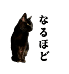 きゃわわくうちゃん（個別スタンプ：23）