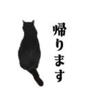 きゃわわくうちゃん（個別スタンプ：24）