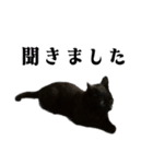 きゃわわくうちゃん（個別スタンプ：25）