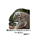 いつも眠いコアラ（個別スタンプ：2）