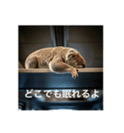 いつも眠いコアラ（個別スタンプ：8）
