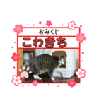 怖々こむぎさん（個別スタンプ：7）