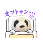 かわいいパンタンちゃん（個別スタンプ：3）
